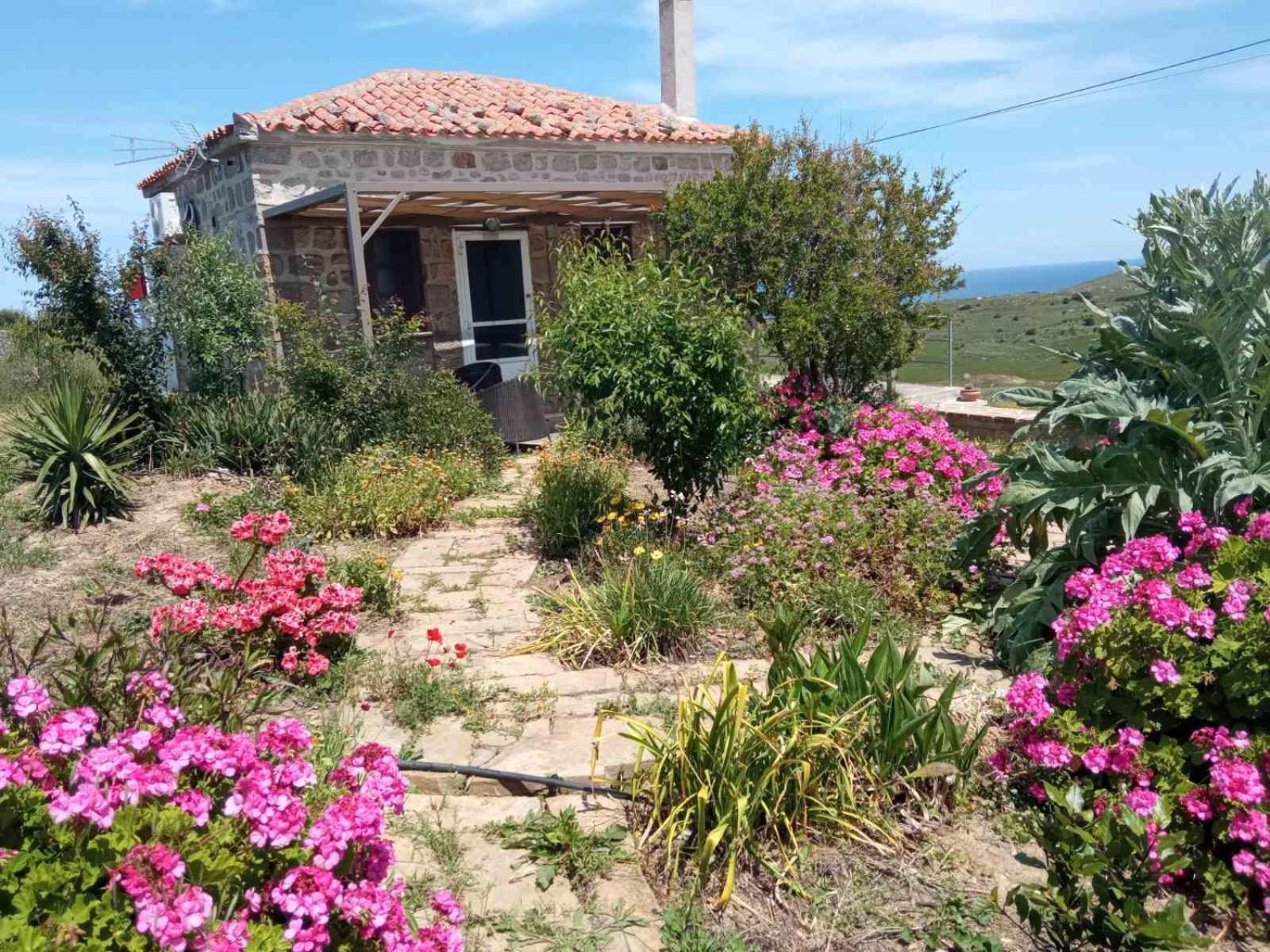 Apartamento Cozy House With Amazing Sea View Kaminia  Exterior foto